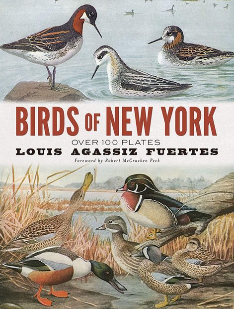 Birds of New York