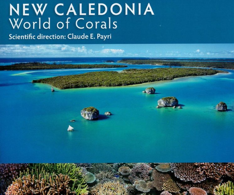 New Caledonia