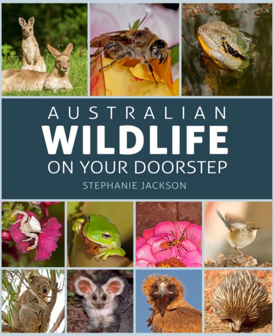 Australian Wildlife on Your Doorstep | NHBS Field Guides & Natural History