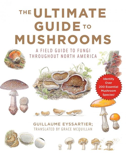 The Ultimate Guide to Mushrooms