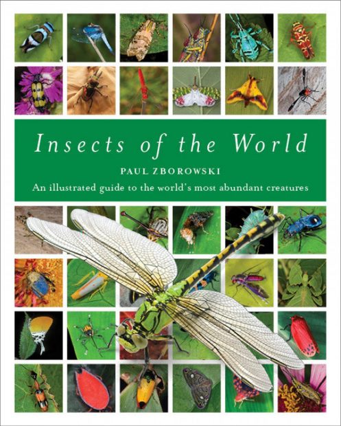 Insects of the World