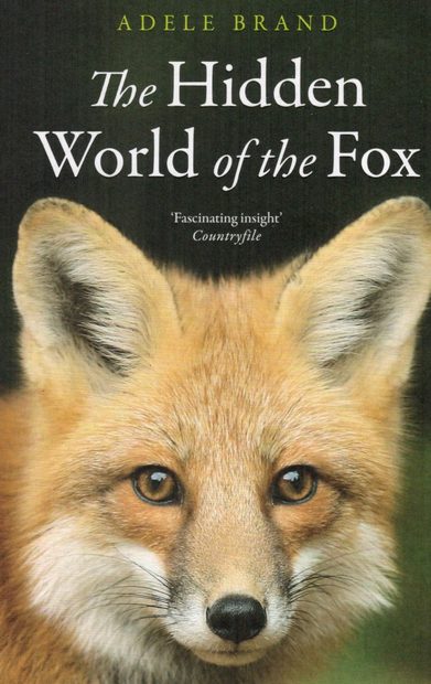 The Hidden World of the Fox