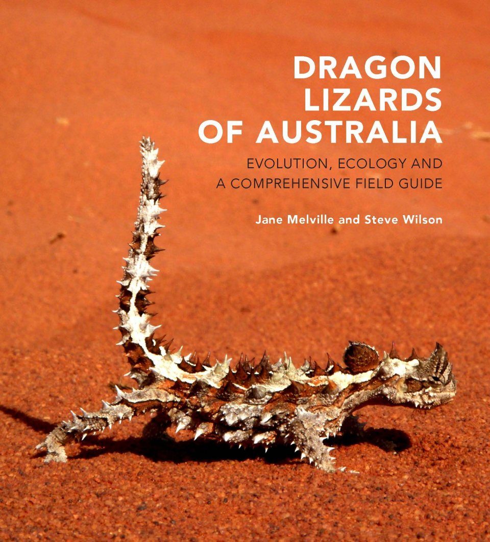 Dragon Lizards of Australia: Evolution, Ecology and a Field Guide | NHBS Field Guides & Natural History