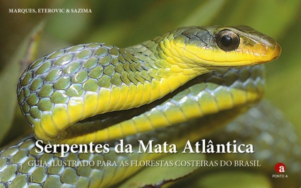 Nossas Incríveis Serpentes