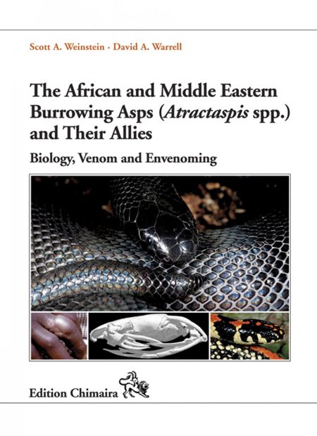The African and Middle Eastern Burrowing Asps (Atractaspis spp.) and Their Allies