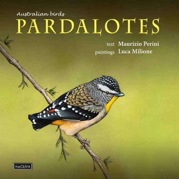 Australian Birds, Pardalotes