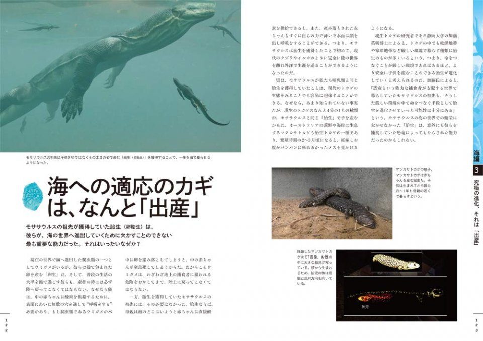 Nhk Supesharu Kyoryu Cho Sekai Nhk Special Dinosaur Super World Nhbs Good Reads