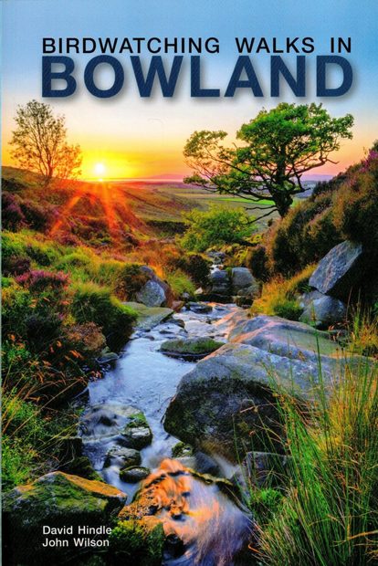 Birdwatching Walks in Bowland