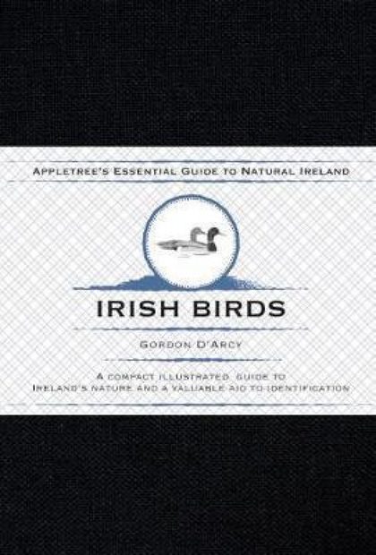 Irish Birds