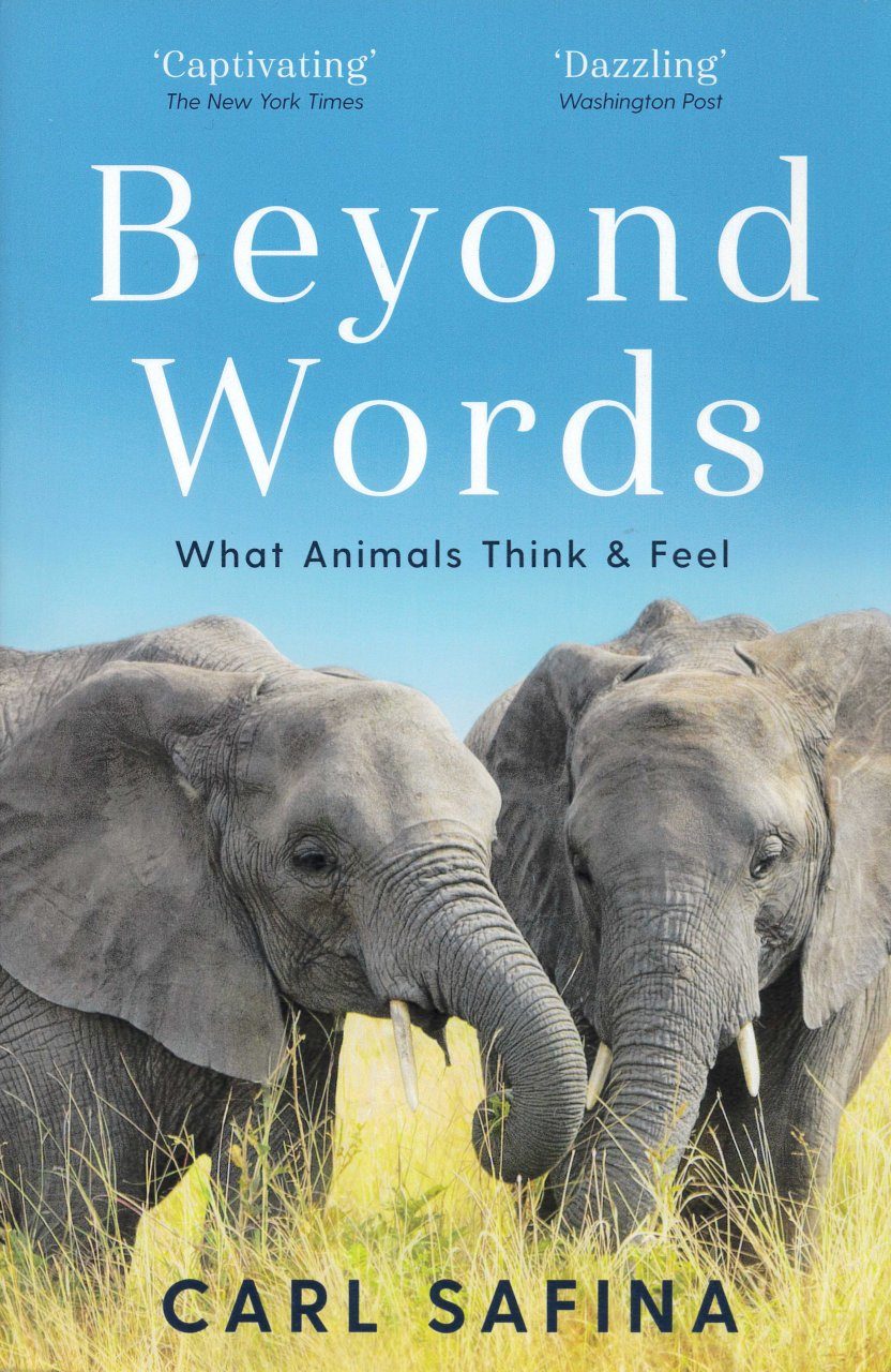 Beyond words. Do animals think?.