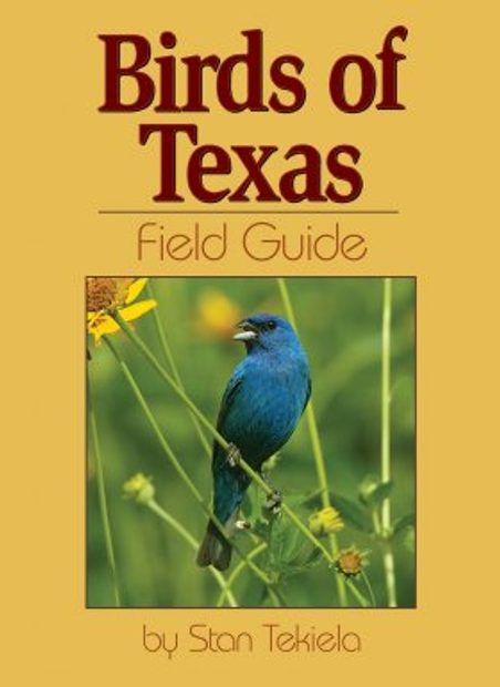 Birds of Texas