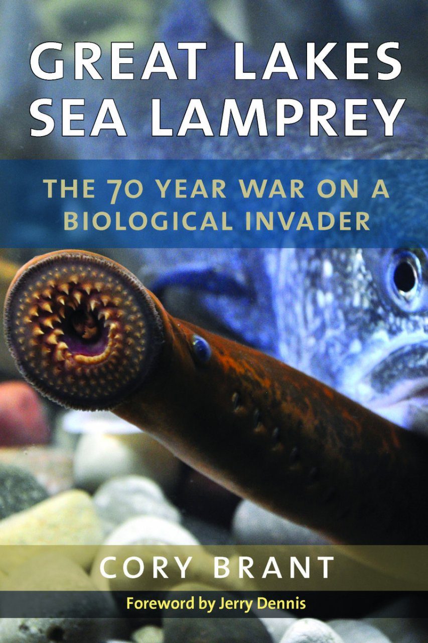Great Lakes Sea Lamprey The 70 Year, Is Lamprey Edible