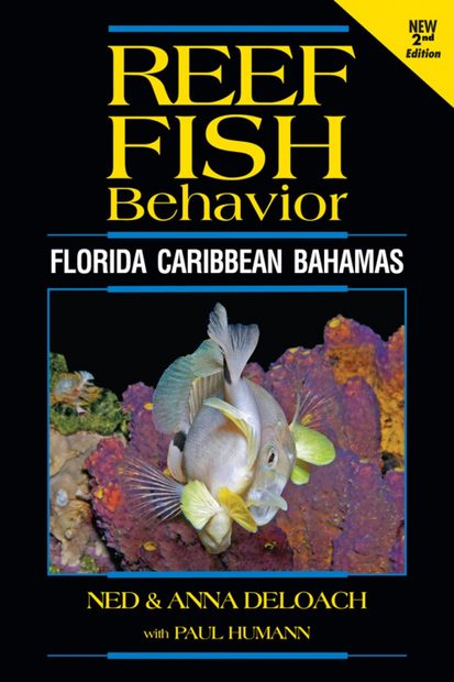 Reef Fish Behavior