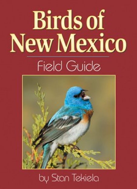 Birds of New Mexico