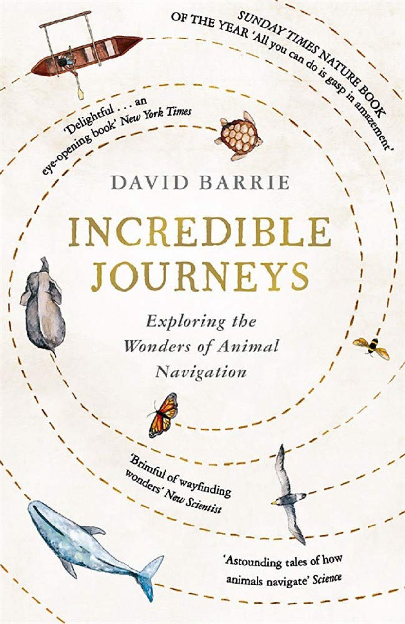 Incredible Journeys: Exploring the Wonders of Animal Navigation | NHBS Good  Reads