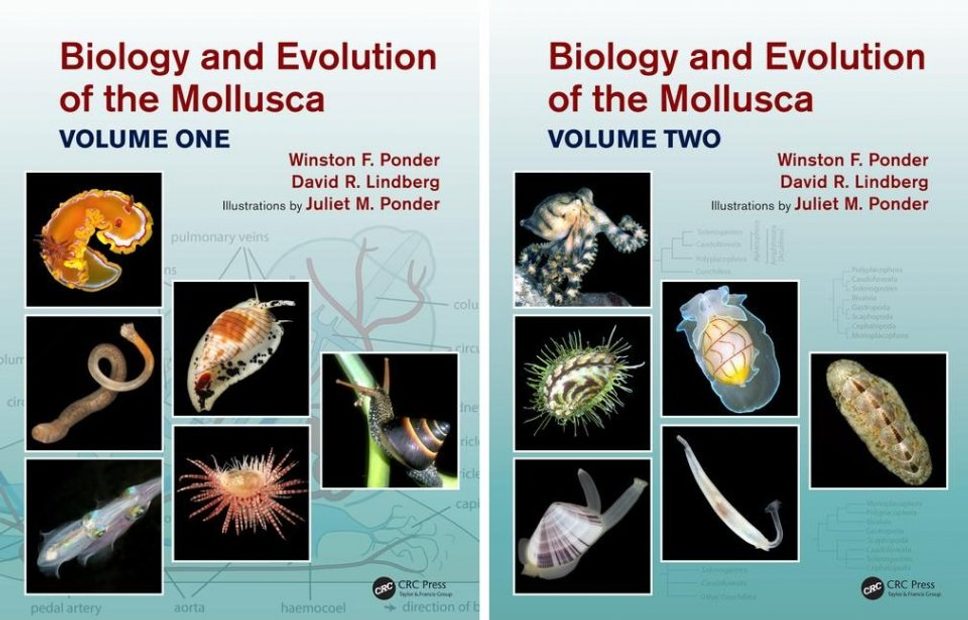Biology and Evolution of the Mollusca (2-Volume Set)