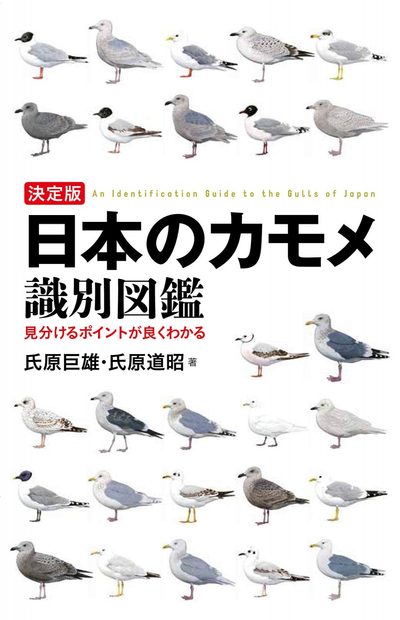 An Identification Guide to the Gulls of Japan [Japanese]