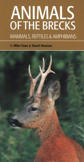 Animals of the Brecks