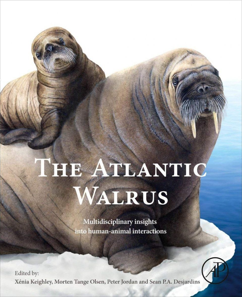 The Atlantic Walrus: Multidisciplinary Insights into Human-Animal  Interactions | NHBS Academic & Professional Books