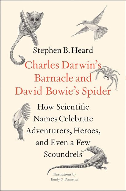 Charles Darwin’s Barnacle and David Bowie’s Spider