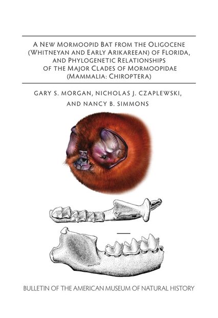 A New Mormoopid Bat from the Oligocene (Whitneyan and Early Arikareean) of Florida, and Phylogenetic Relationships of the Major Clades of Mormoopidae (Mammalia, Chiroptera)