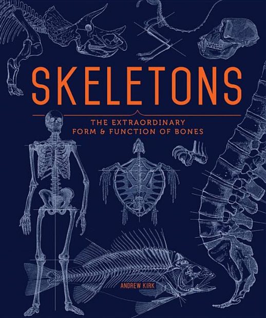 Skeletons