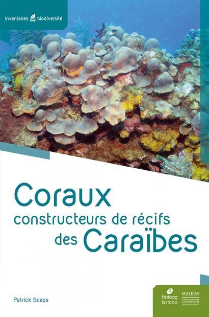 Coraux Constructeurs de Récifs des Caraïbes [Coral Reef Builders of the Caribbean]