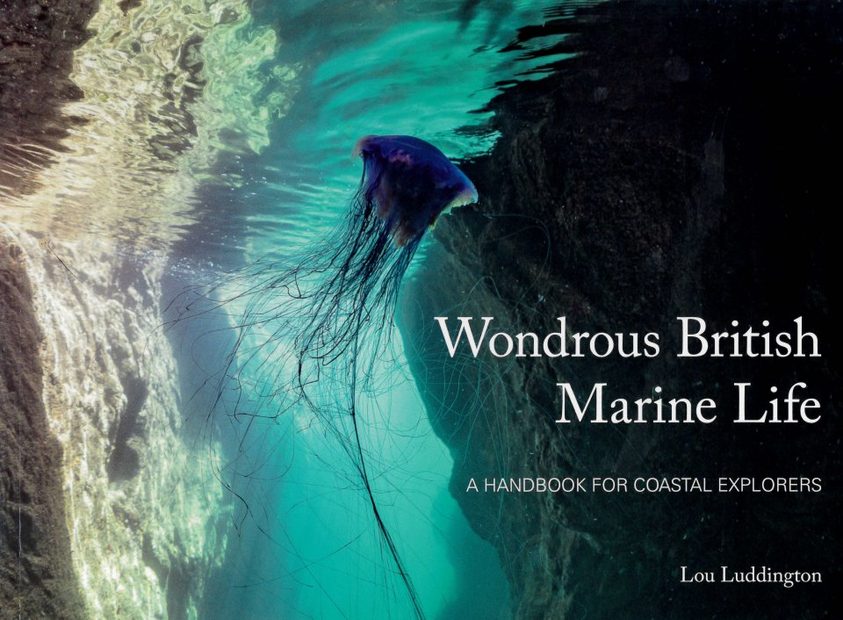 Wondrous British Marine Life