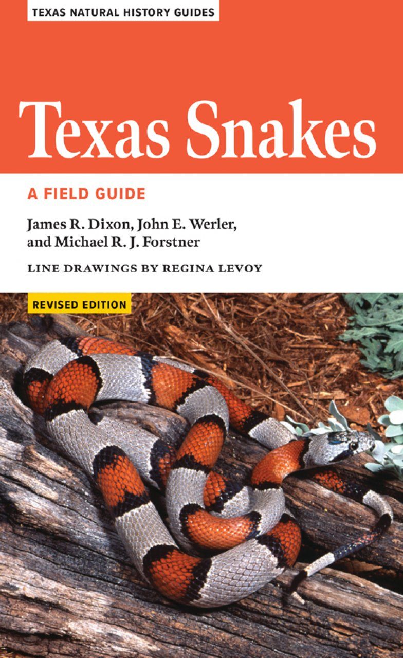 Texas Snakes: A Field Guide  NHBS Field Guides & Natural History