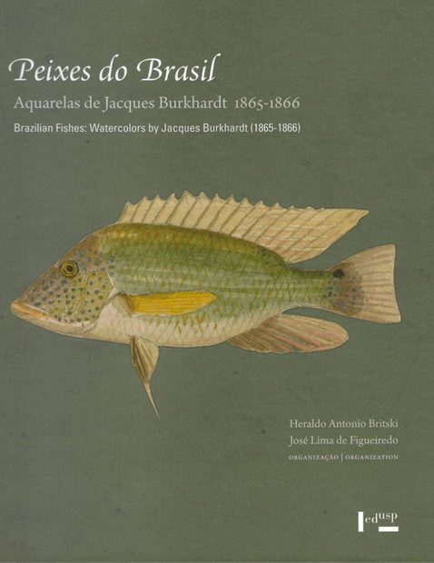 Brazilian Fishes: Watercolors by Jacques Burkhardt (1865-1866) / Peixes do Brasil: Aquarelas de Jacques Burkhardt (1865-1866)