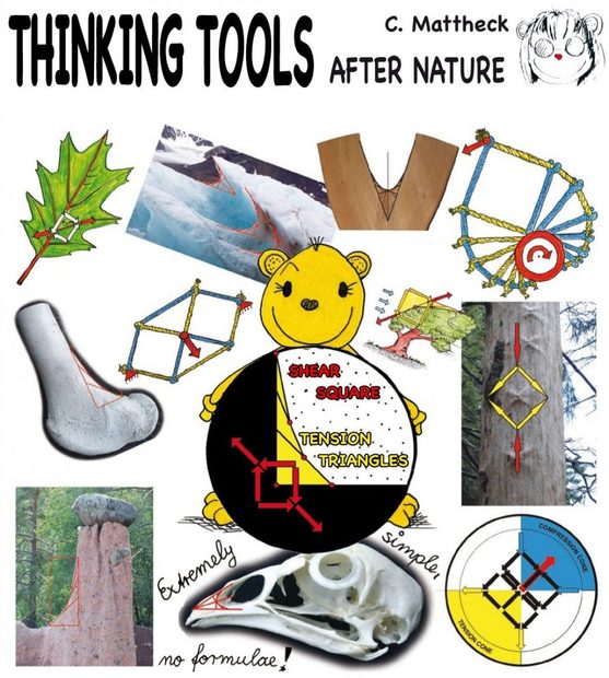 Thinking Tools after Nature