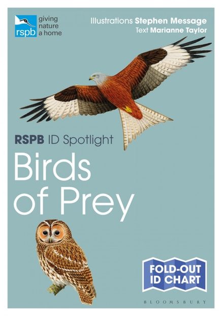 RSPB ID Spotlight: British Birds of Prey