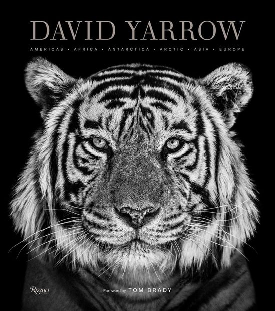  David Yarrow