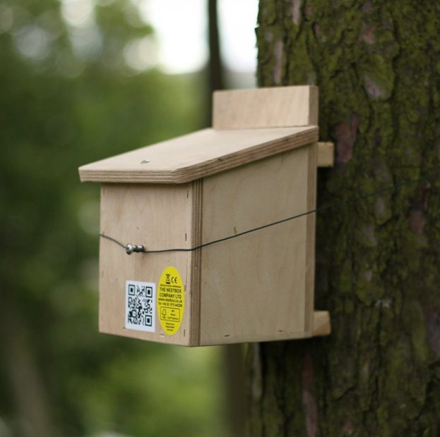 Dormouse Nest Box