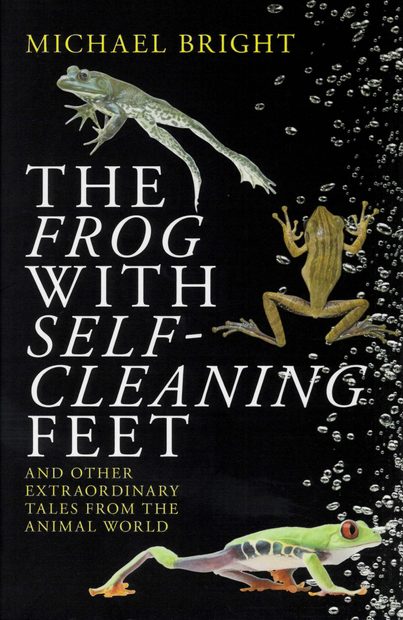 The Frog With Self-Cleaning Feet