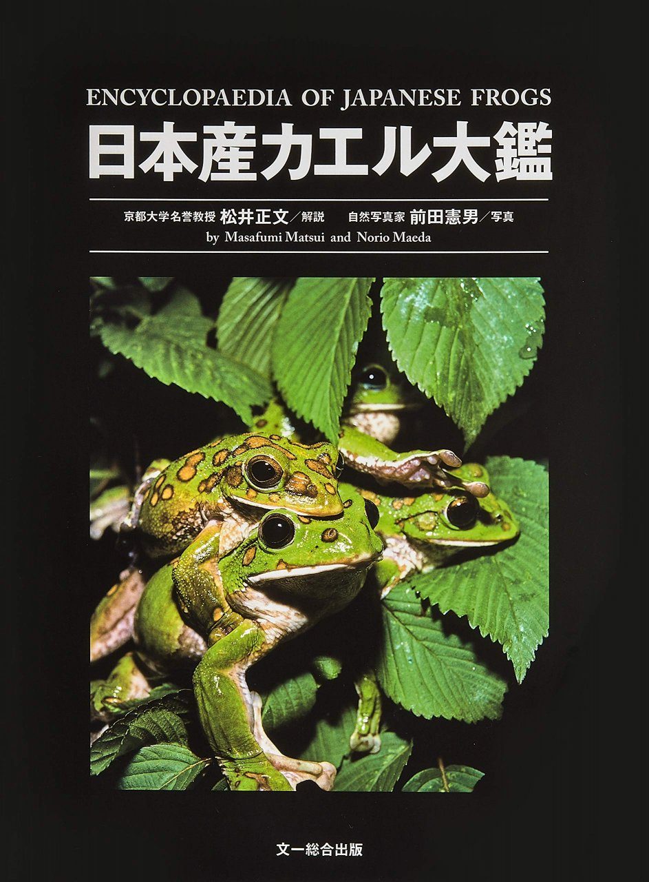 超希少】【初版、美品】古本 テントウムシの自然史 著者：佐々治寛之 財団法人 東京大学出版会 - ペット、動物