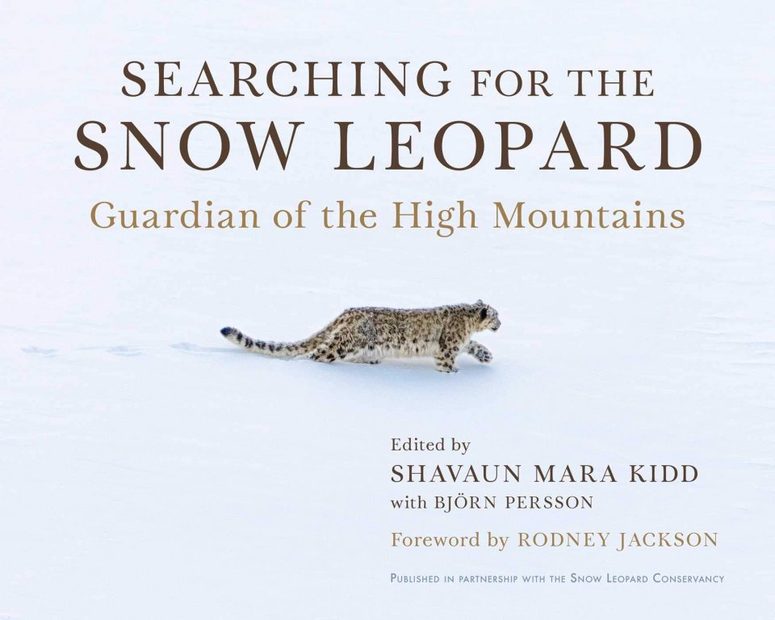 Searching for the Snow Leopard