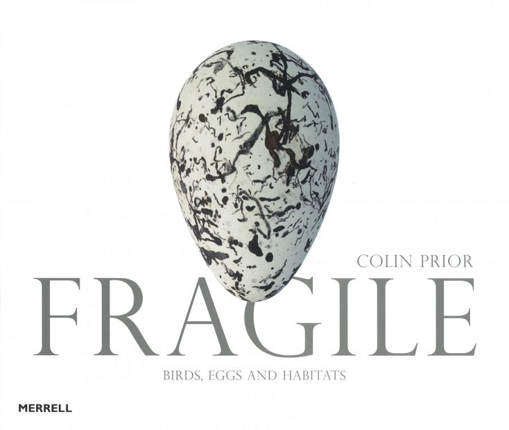Fragile