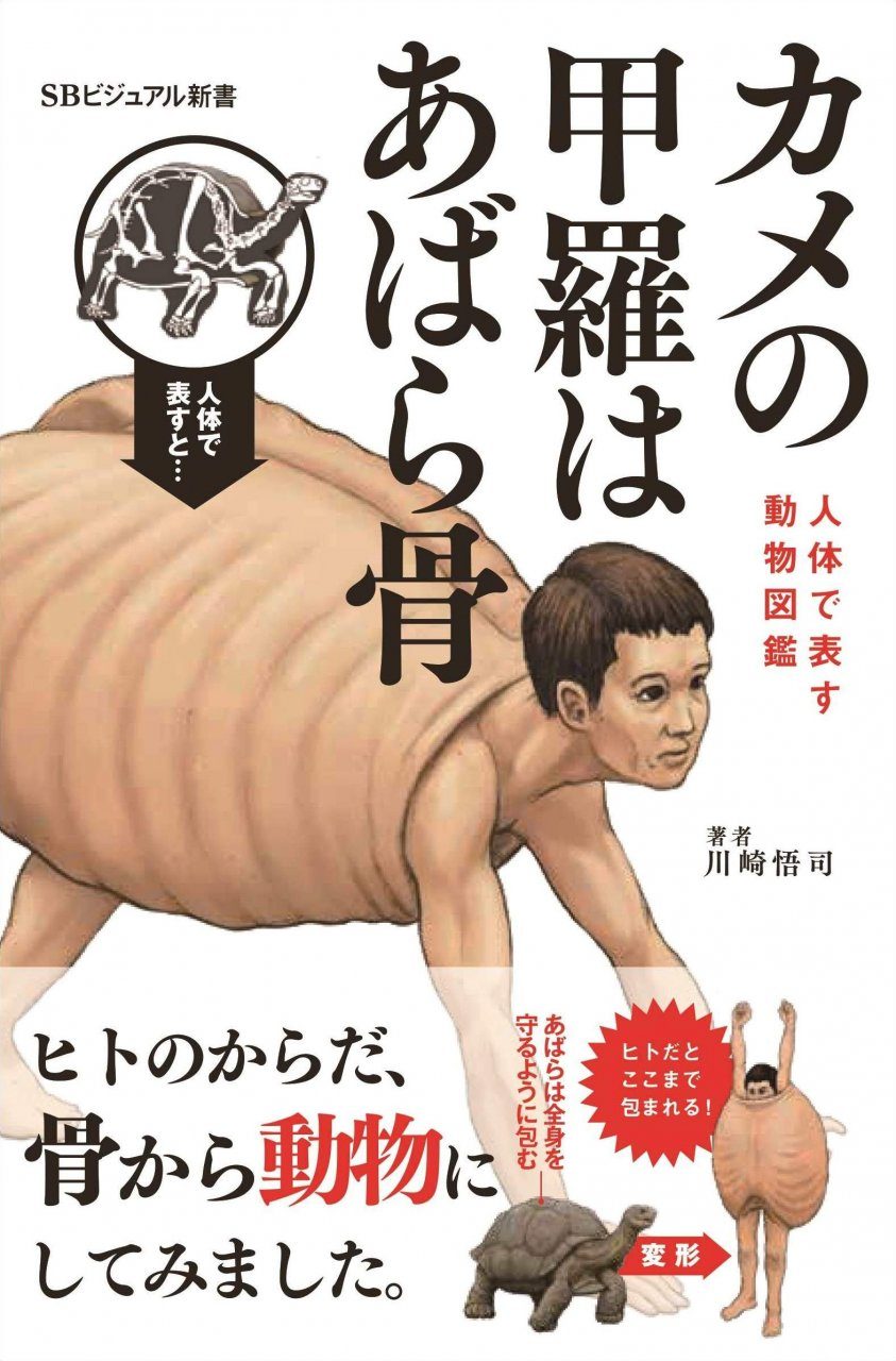 Kame no Kōra wa Abarabone: Jintai de Arawasu Ugokumonozukan [Turtle Shells  Have Ribs: A Picture Book of Animal Anatomy Represented by the Human Body]