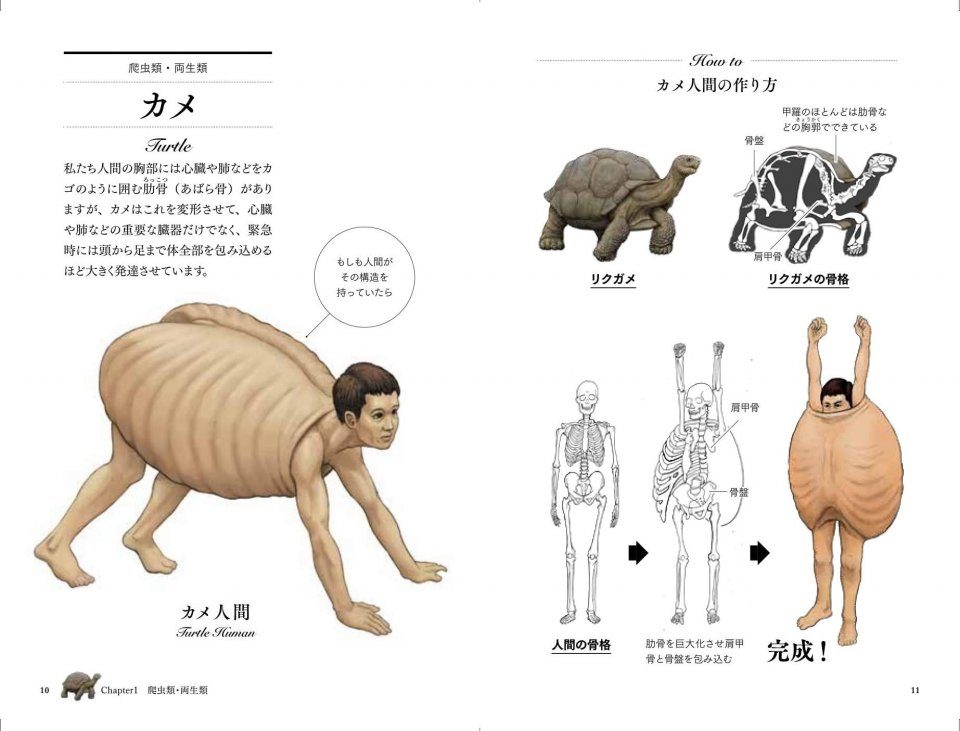 Kame no Kōra wa Abarabone: Jintai de Arawasu Ugokumonozukan [Turtle Shells  Have Ribs: A Picture Book of Animal Anatomy Represented by the Human Body]  | NHBS Academic & Professional Books