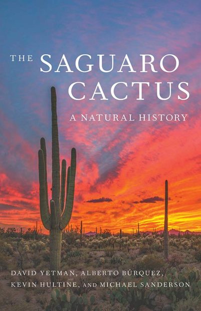  The Saguaro Cactus