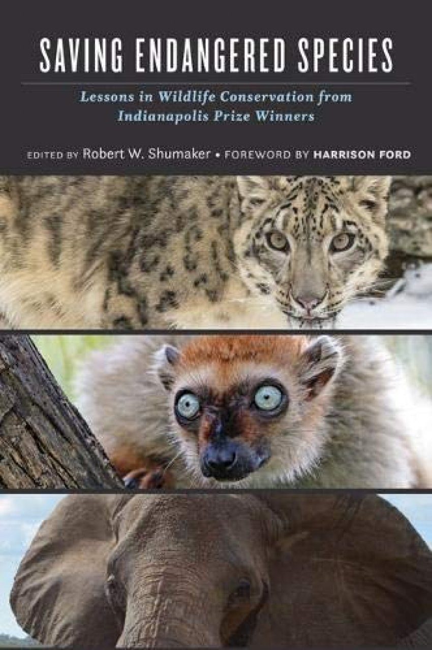 Saving Endangered Species | NHBS Academic & Professional Books