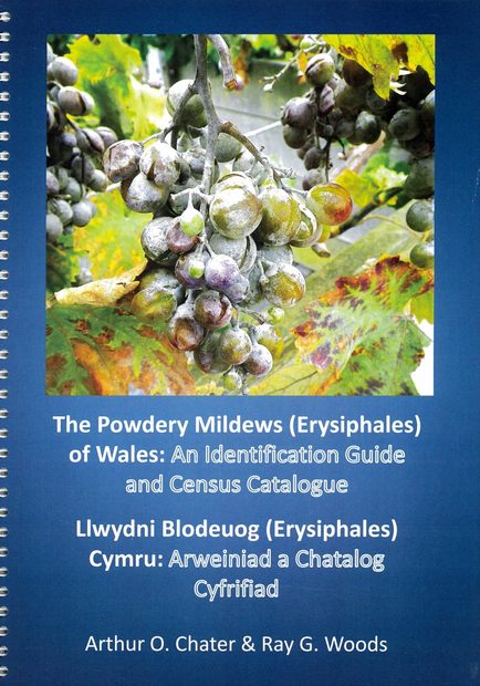 The Powdery Mildews (Erysiphales) of Wales