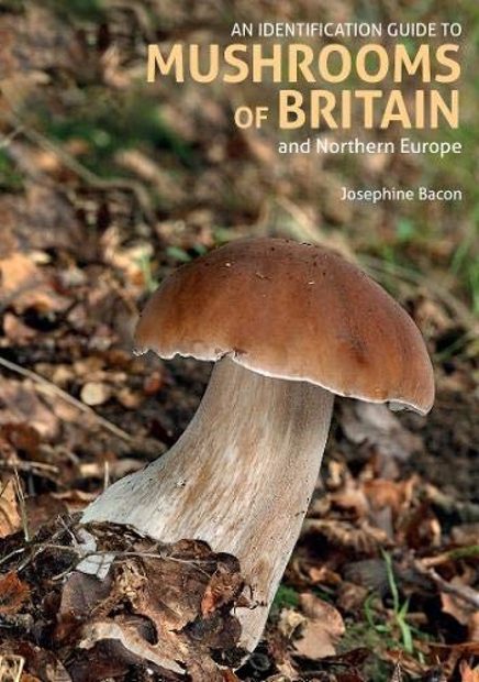 A Naturalist's Guide to the Mushrooms and Other Fungi of Britain and Northern Europe