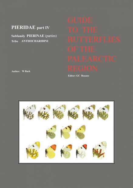Pieridae Part 4 (Guide to the Butterflies of the Palearctic Region)