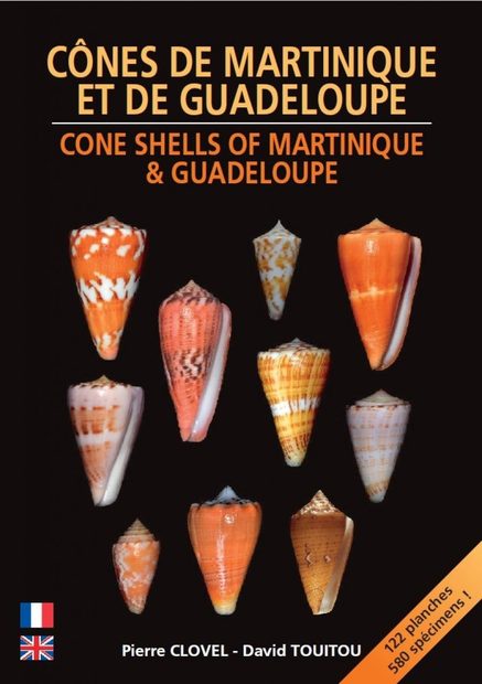 Cone Shells of Martinique & Guadeloupe / Cônes de Martinique et de Guadeloupe