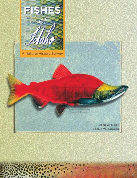 Fishes of Idaho
