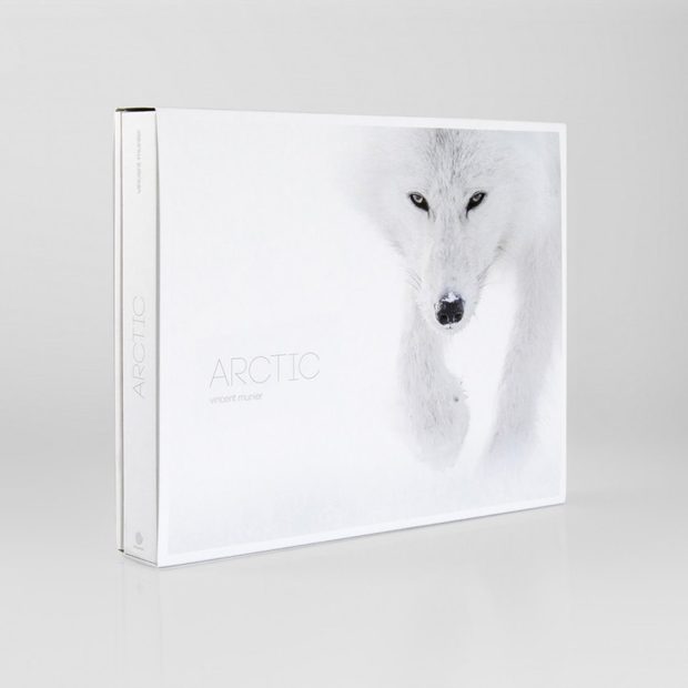 Arctic