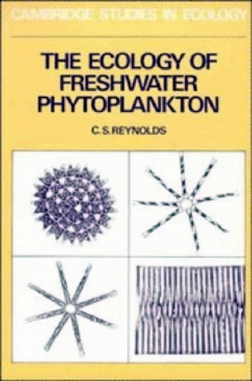 freshwater phytoplankton