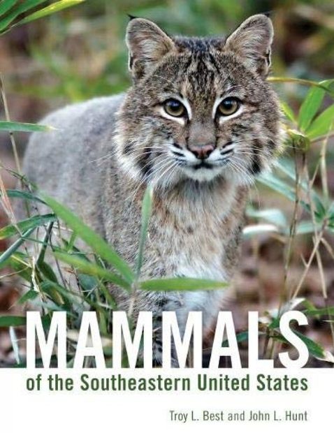 Mammals of the Southeastern United States | NHBS Academic